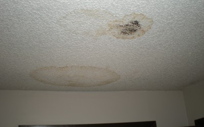 Should I be concerned about mold?